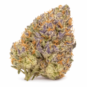 Astro Pink — Indica EXCLUSIVE AAAA+