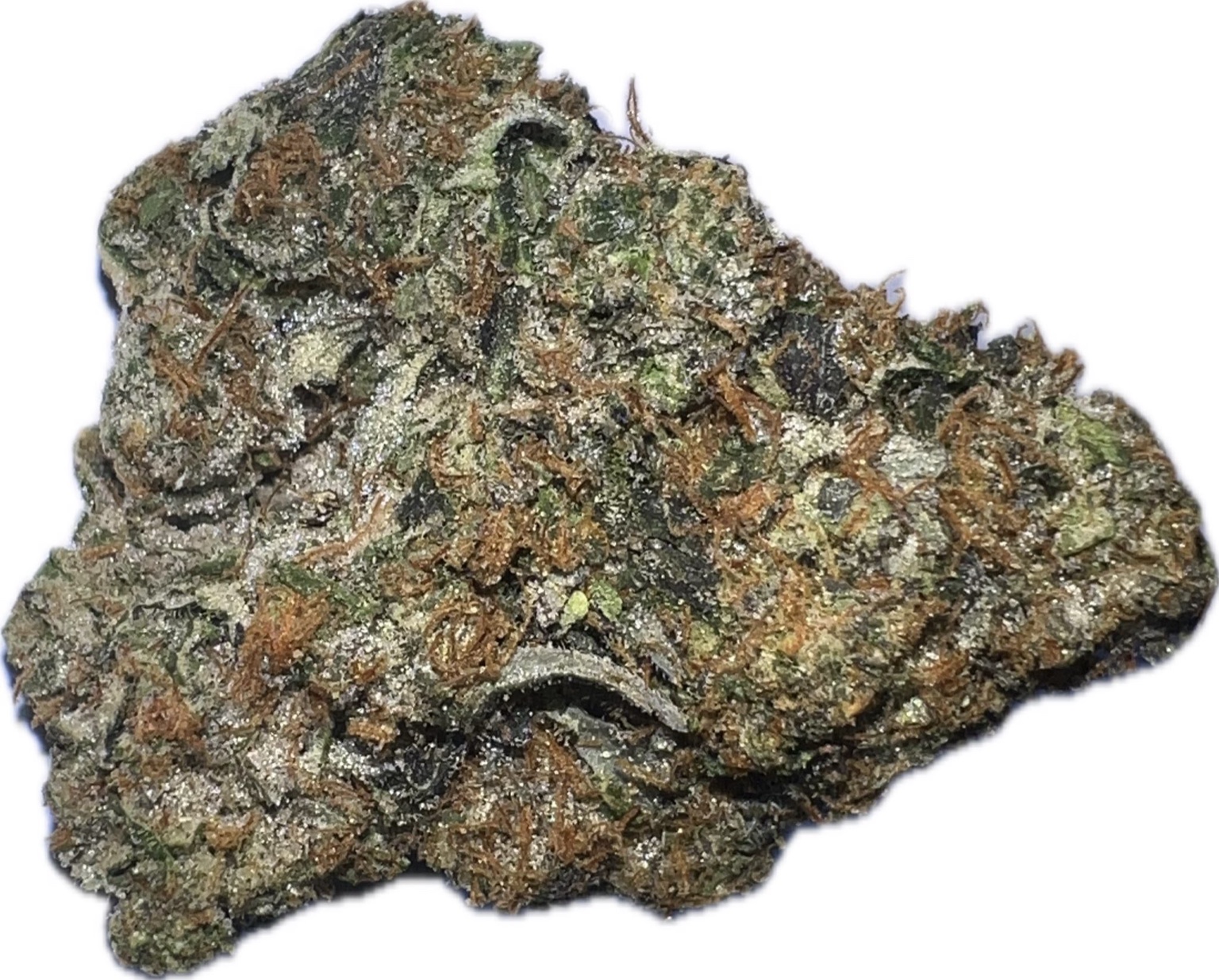 Gas Chamber — Hybrid AAAAA+ L.S.O