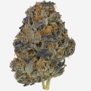 Pink Chapo — Indica AAAAA+ L.S.O