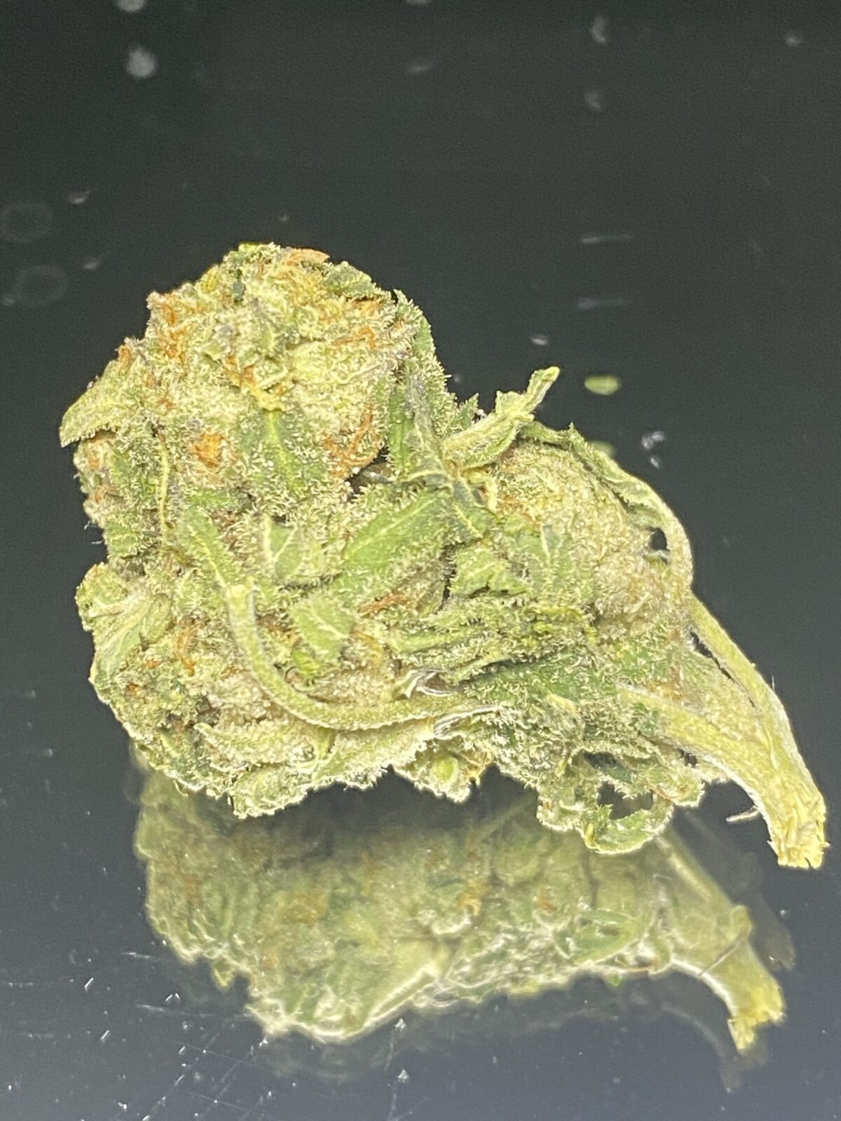 Block Builder – Budget Weed - Image 4