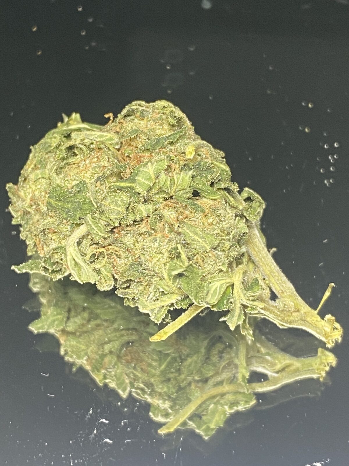 Block Builder – Budget Weed - Image 3