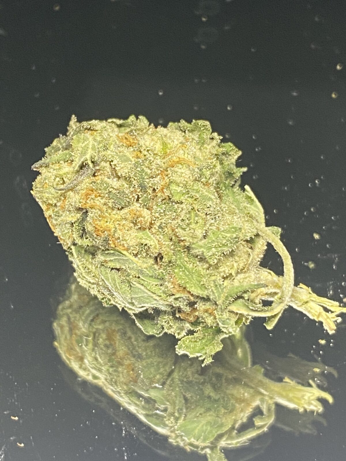 Block Builder – Budget Weed