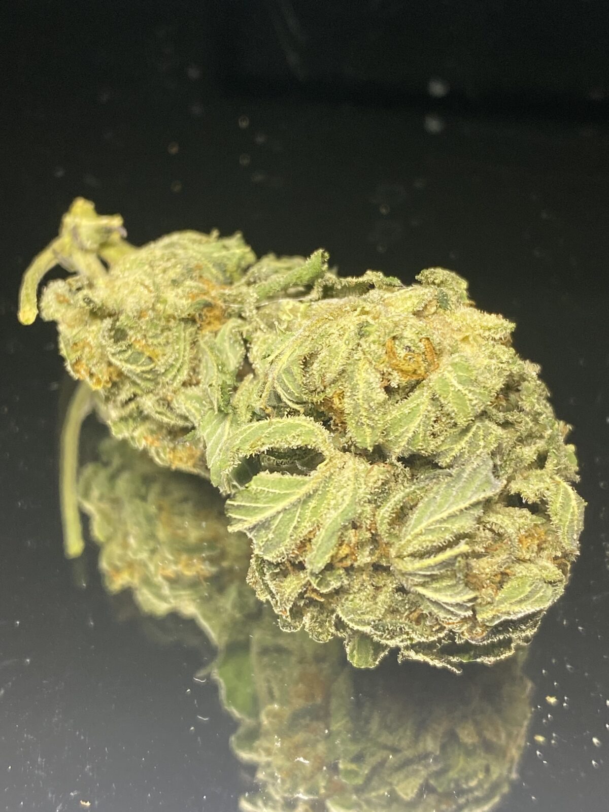 Space Sasquatch - Budget Weed - Image 4