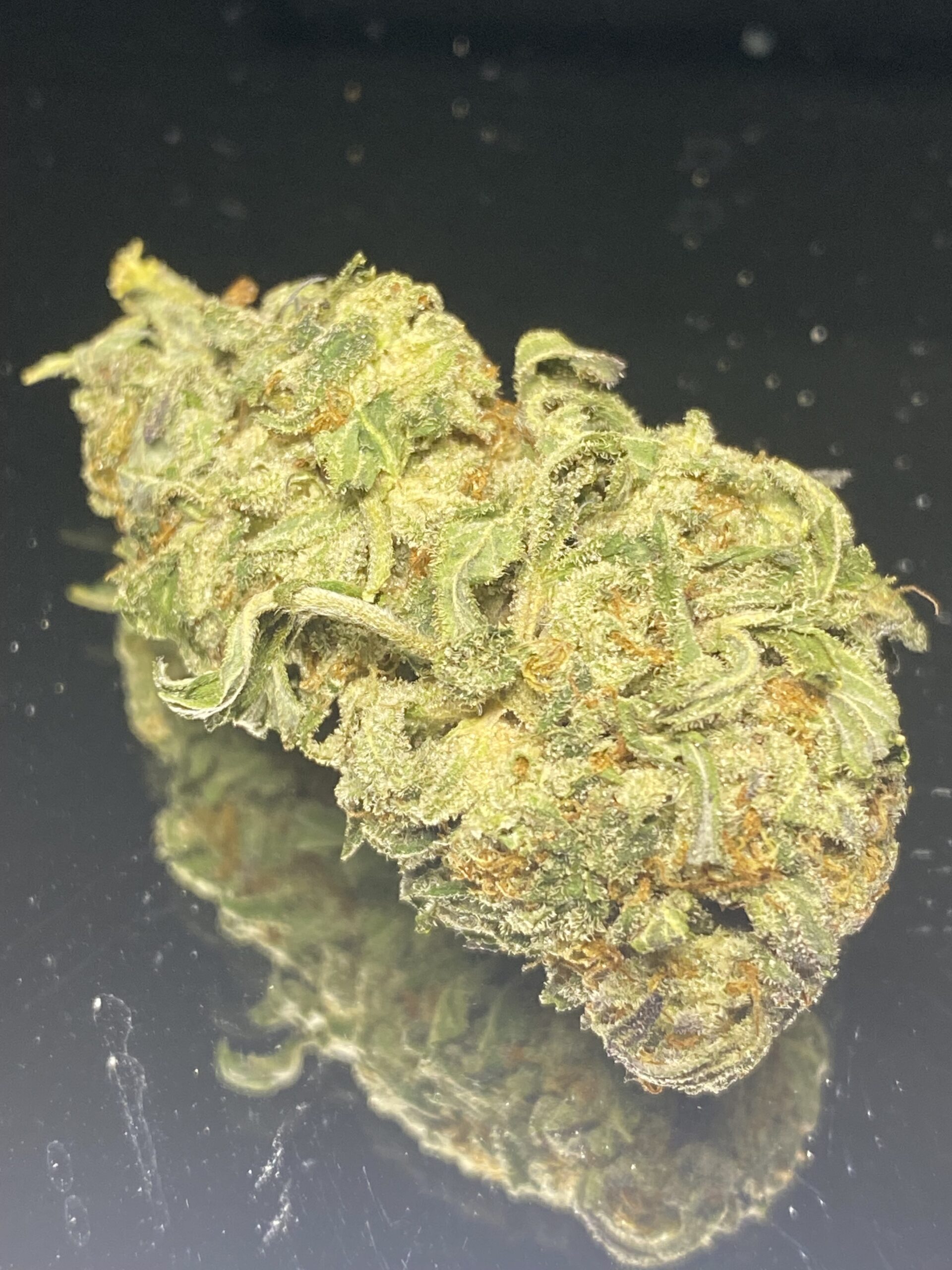 Space Sasquatch - Budget Weed - Image 2