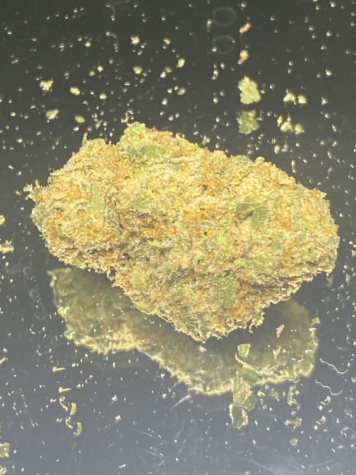 Blackberry Breath - Image 3