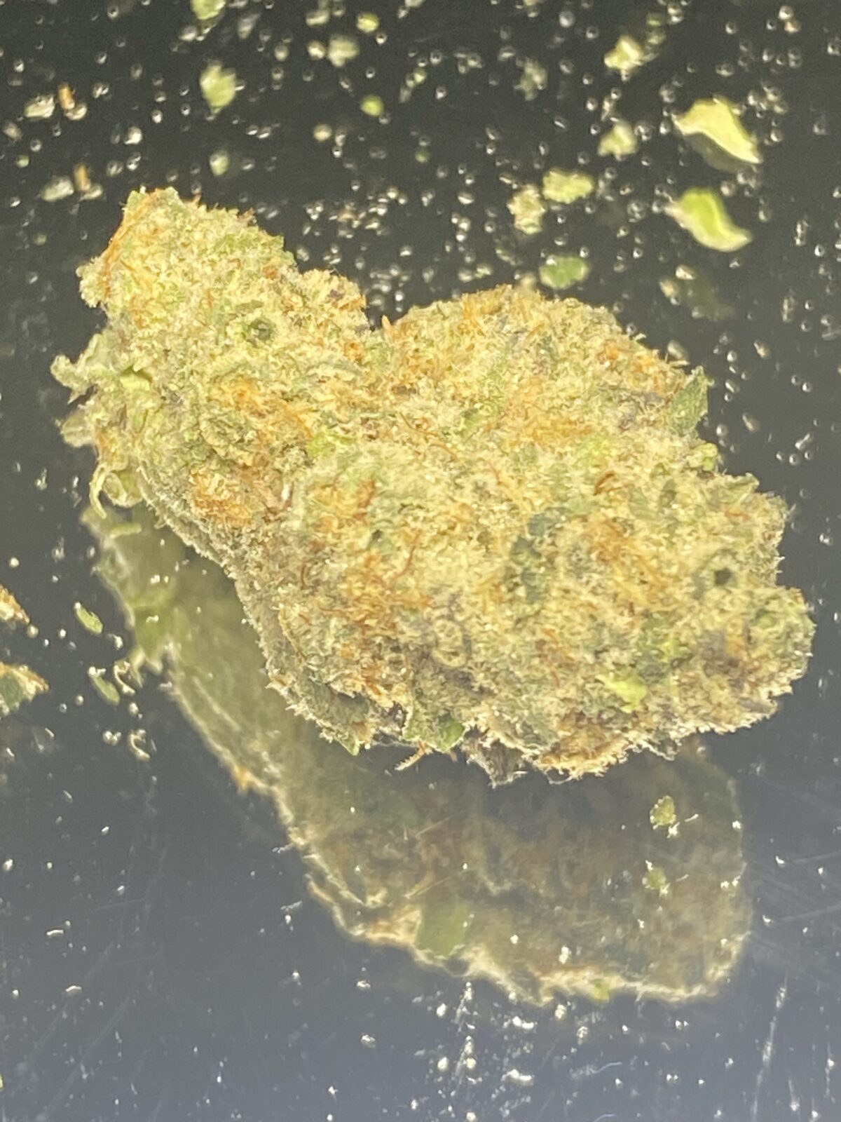 Blackberry Breath - Image 4