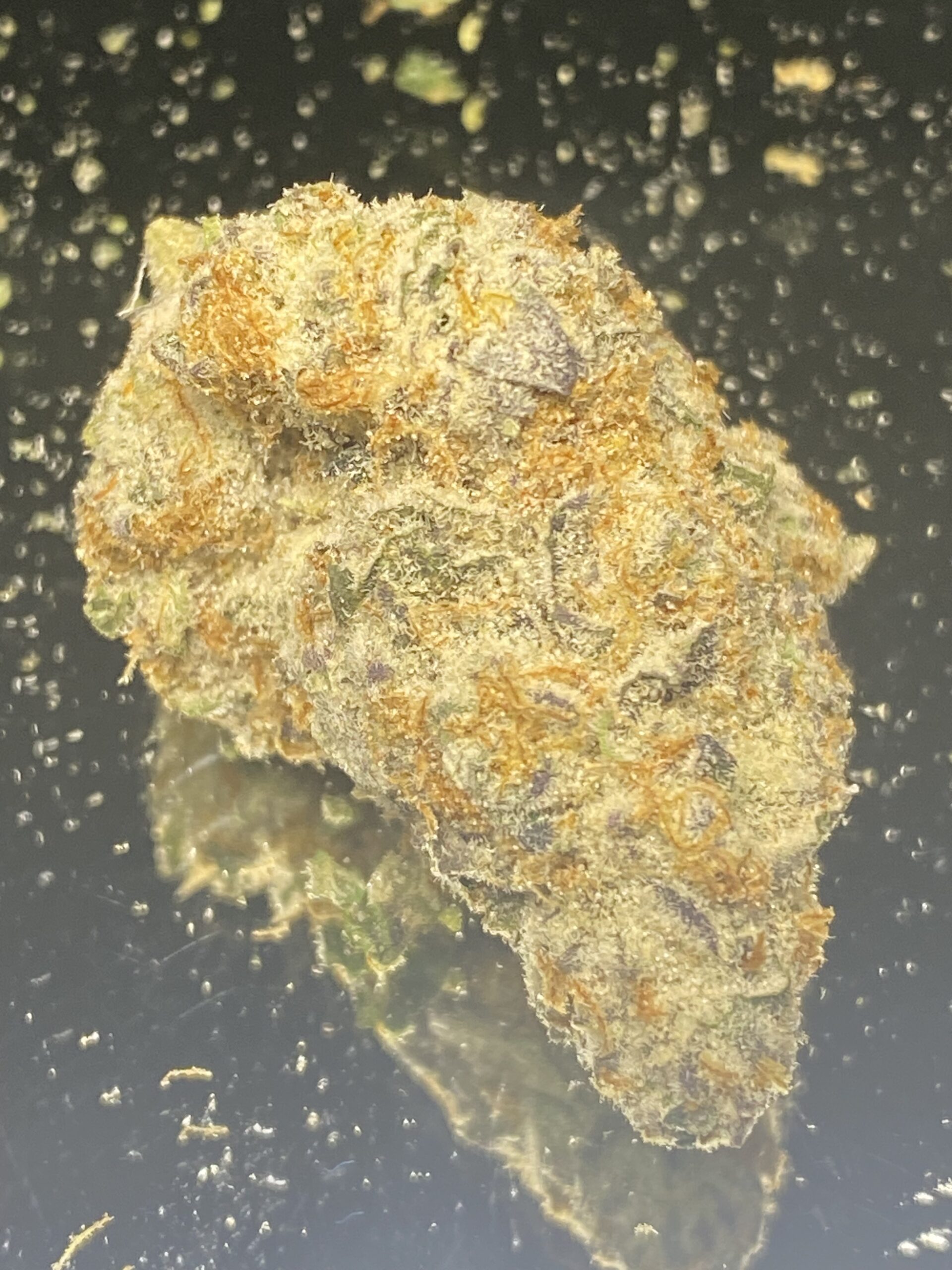 West Coast Cookies - Image 2