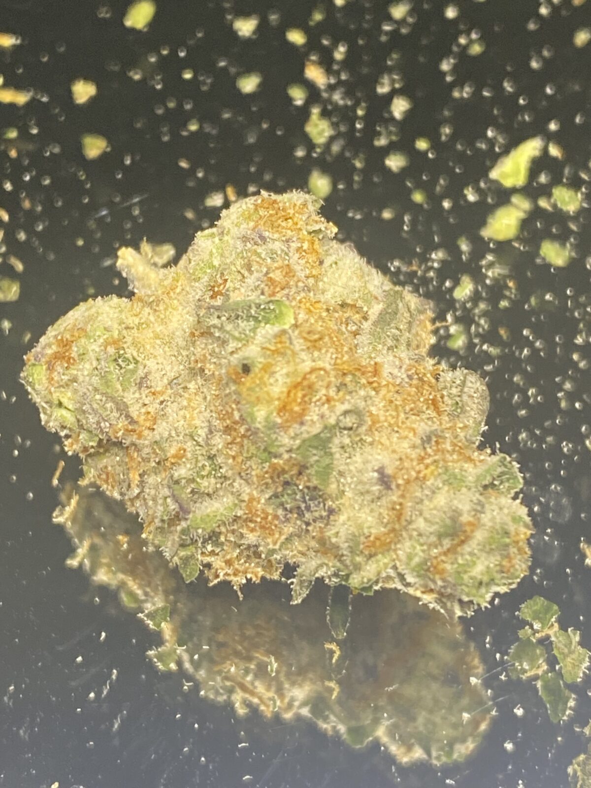West Coast Cookies - Image 4