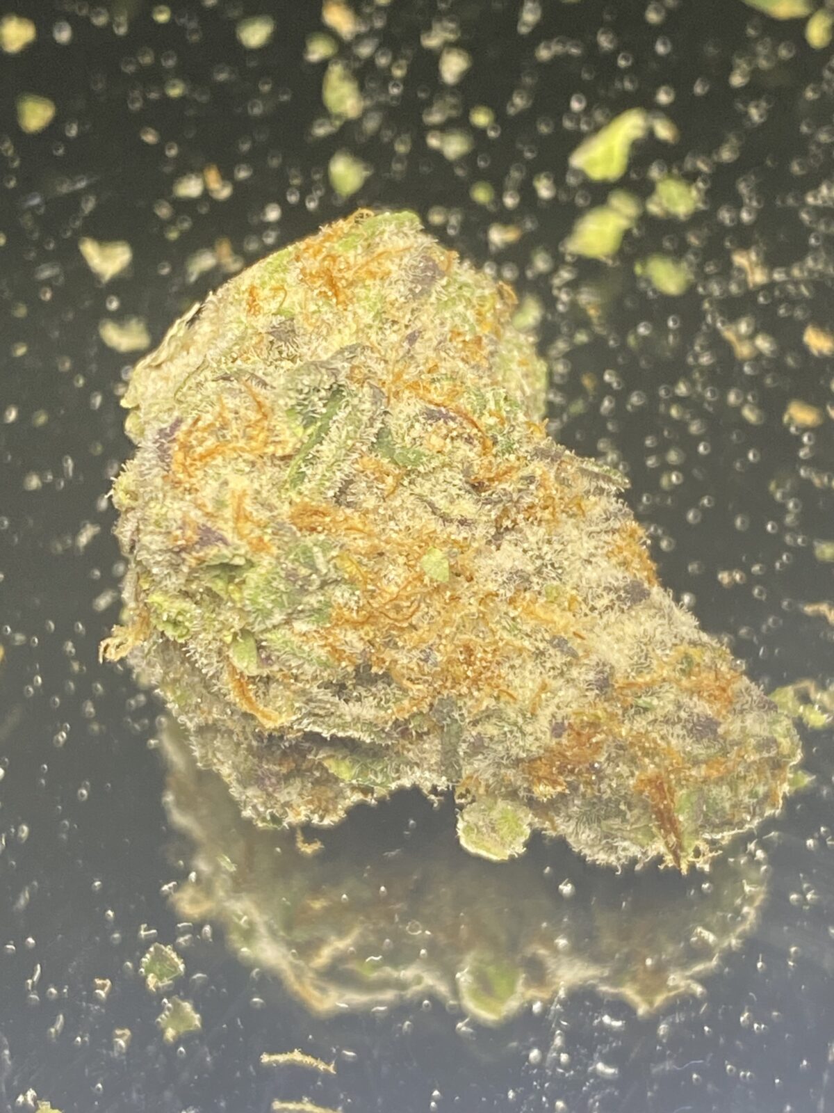 West Coast Cookies - Image 3