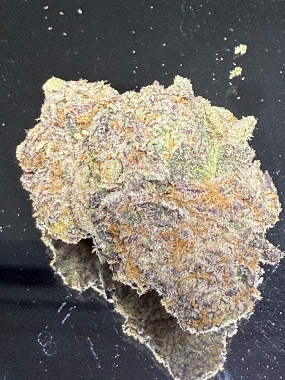 PINK MONET - Image 3