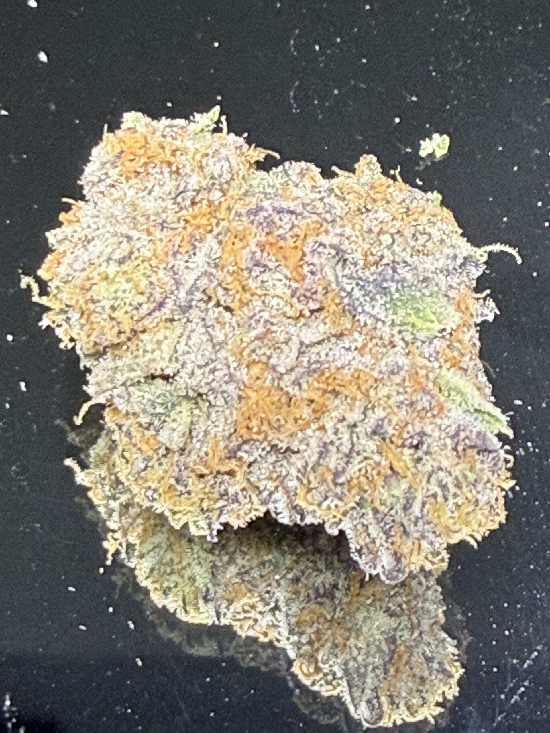 PINK MONET - Image 2