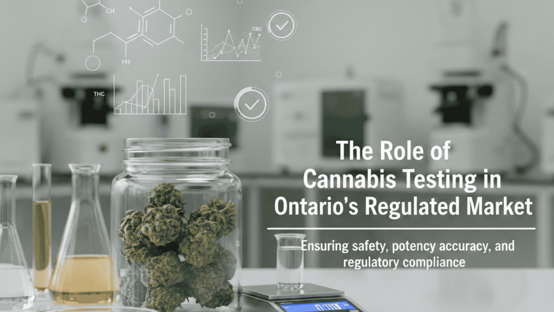 The Role of Cannabis Testing in Ontario’s Regulated Market